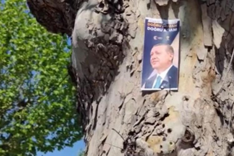 Kosova'da Erdoğan'a destek afişleri
