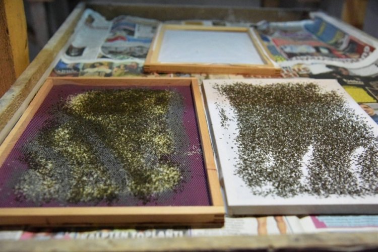 Mustafakemalpaşa Belediyesi'nden İpek B&ouml;ceği yetiştirmek isteyenlere &uuml;cretsiz destek