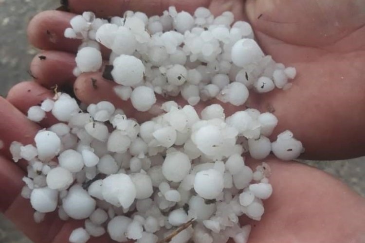 Manisa'da dolu yağışı ekili alanlara zarar verdi