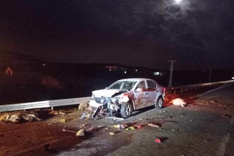 Elazığ'da otomobil koyun s&uuml;r&uuml;s&uuml;ne daldı, yaralılar var!  25 koyun telef oldu