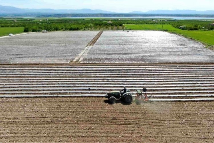 Deprem tarımı da vurdu, mevsimlik iş&ccedil;i bulunamıyor