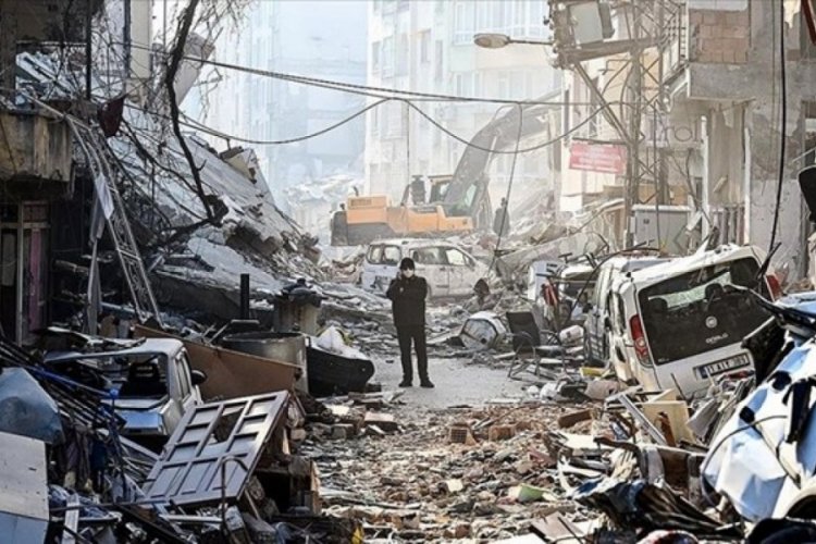 Deprem b&ouml;lgesinde akrep ve yılan sokmalarında artış