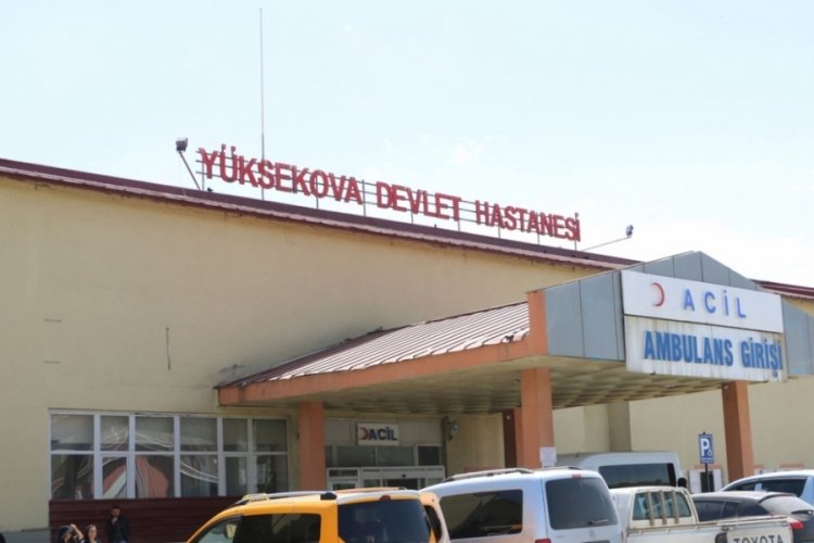 Pancar toplarken ayı saldırdı, boğuşarak kurtuldu