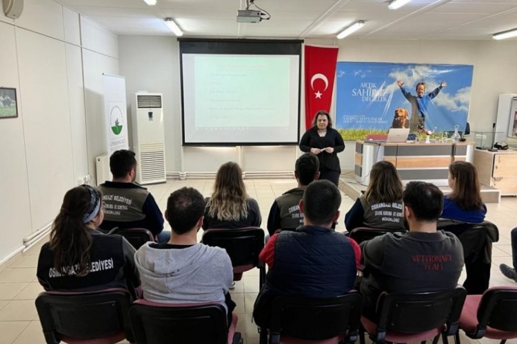 Bursa Osmangazi barınak personeline mesleki eğitim