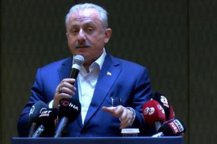 Şentop'tan Der Spiegel'in kapağına tepki: Mesele hilali kırmak