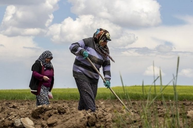D&uuml;nya &ccedil;ift&ccedil;iler g&uuml;n&uuml; nedir? Ne zaman kutlanır? Nasıl ortaya &ccedil;ıktı?