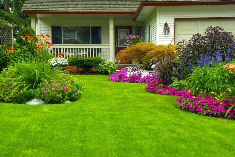 Peyzaj Mimarlığı nedir? Ka&ccedil;a ayrılır? Peyzaj Mimarlığı G&uuml;n&uuml; ne zaman?