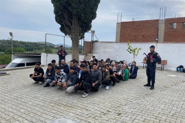 Aydın'da d&uuml;zensiz g&ouml;&ccedil;men operasyonu! &Ccedil;ok sayıda kişi yakalandı