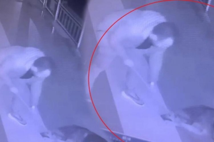 Rize'de sever gibi yaptığı k&ouml;peğe fır&ccedil;a sapıyla saldırdı