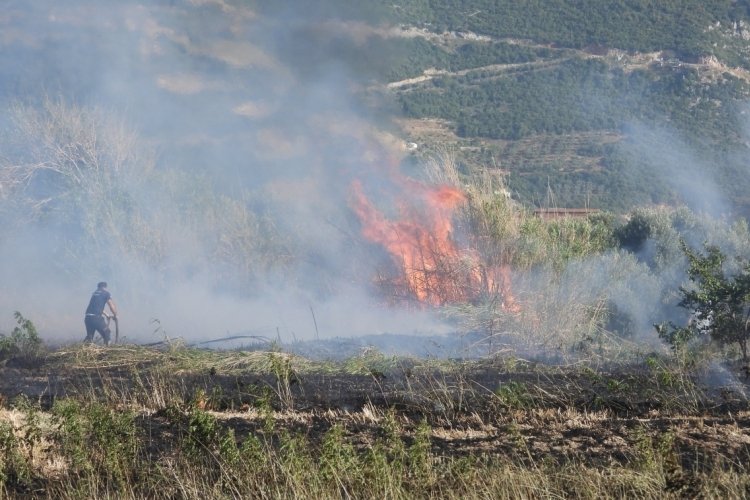 Hatay'da anız yangını
