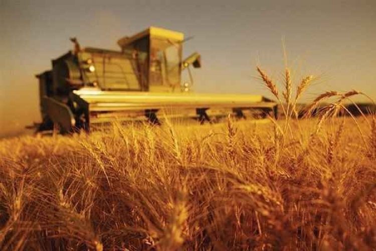 Tarım-&Uuml;FE yıllık y&uuml;zde 71,52 arttı