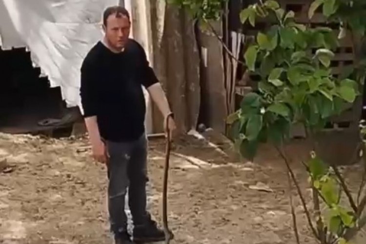 Bursa'da bir vatandaş bah&ccedil;esine giren yılanı elleriyle yakaladı