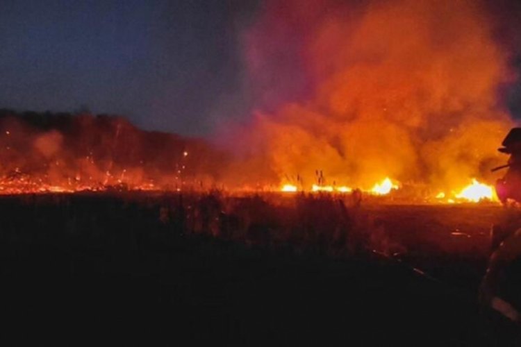 Kanada'da orman yangını, tahliye uyarısı yapıldı
