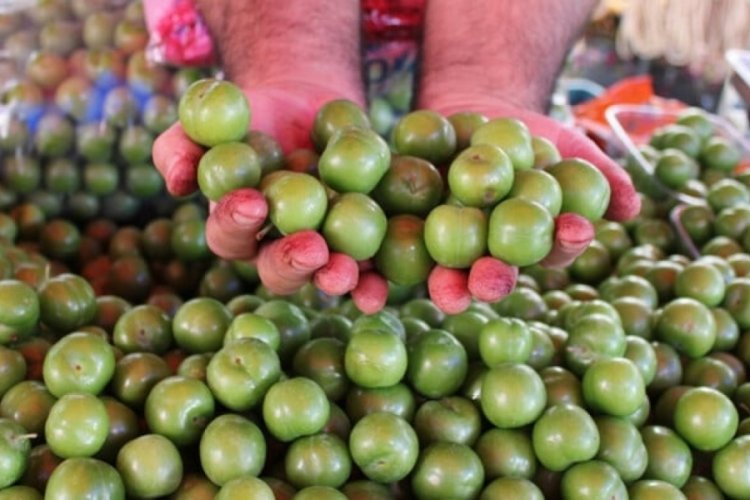 Yaz aylarının aranan meyvesi erik tezgahlarda