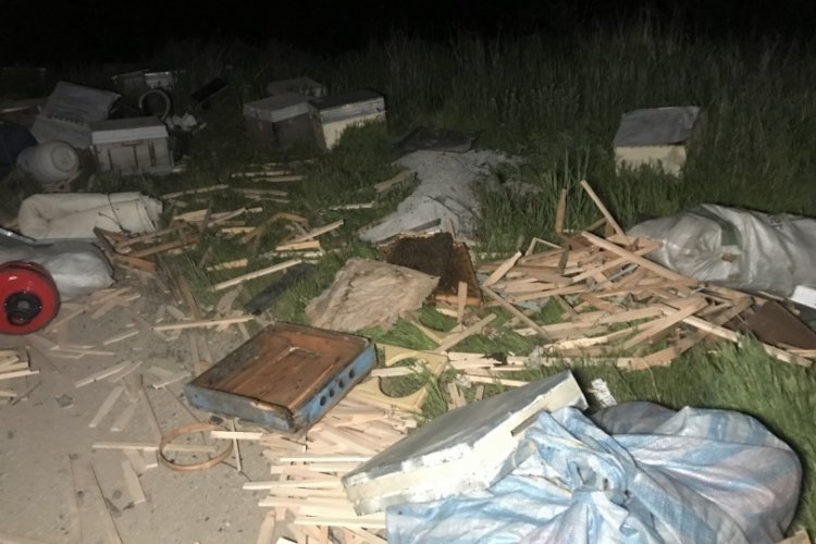 G&uuml;m&uuml;şhane'de arı kovanı y&uuml;kl&uuml; pikap yan yattı, 60 kovan arı telef oldu
