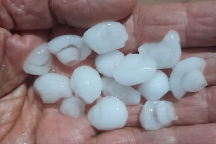 Manisa Sarıg&ouml;l'de dolu etkili oldu
