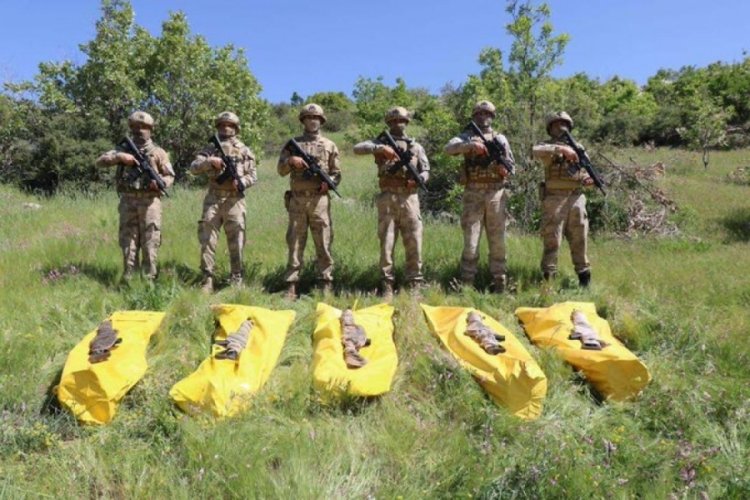 Şırnak'ta d&uuml;zenlenen operasyonda 5 ter&ouml;rist etkisiz hale getirildi!