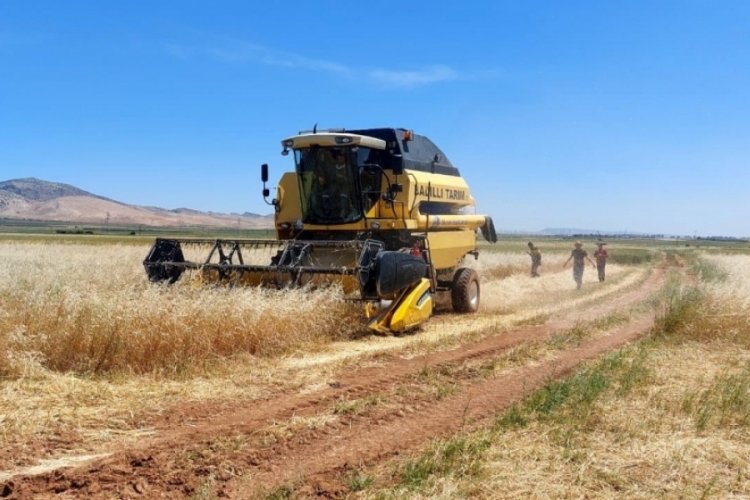 Mardin'de &ccedil;ift&ccedil;inin y&uuml;z&uuml; g&uuml;ld&uuml;, arpa hasadında verim 3 kat arttı