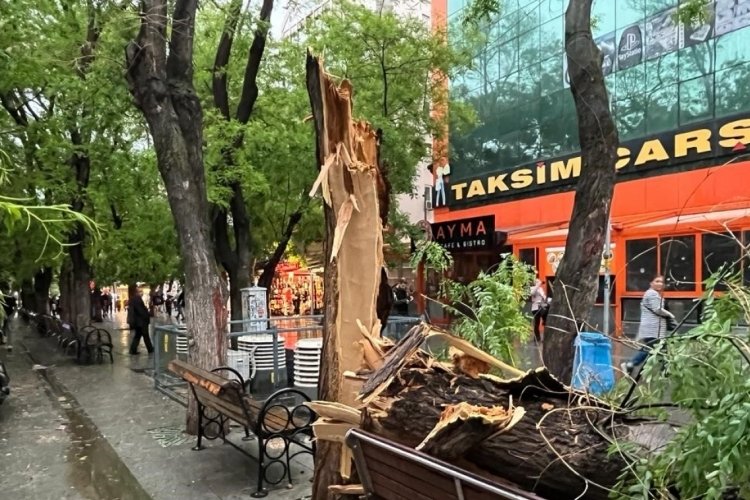 Ankara'da fırtına hayatı fel&ccedil; etti