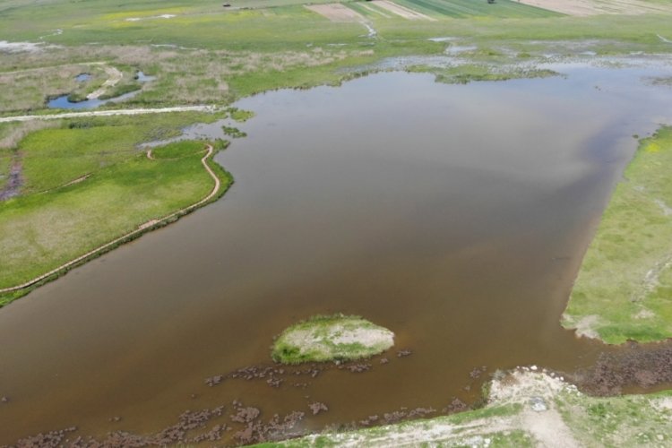 Kaz G&ouml;l&uuml; 110 kuş t&uuml;r&uuml;ne ev sahipliği yapıyor