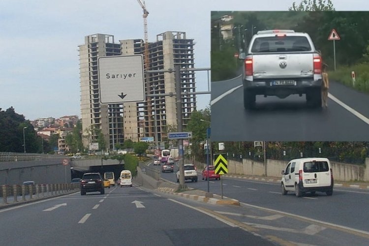 &Ouml;l&uuml; k&ouml;peği araca bağladı! Trafiğe &ccedil;ıktı
