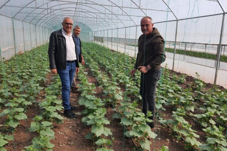 Bursa Gemlik Belediyesi'nde organik tarım &ccedil;alışmaları