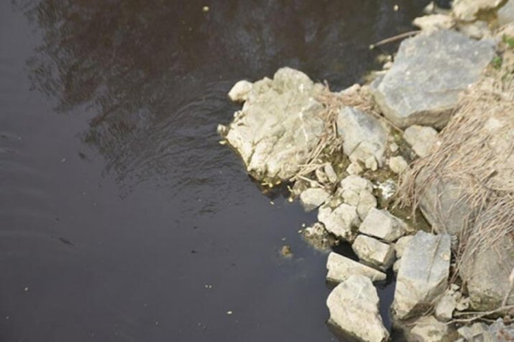 Edirne'de Ergene Nehri'nin suyu i&ccedil;in inceleme yapıldı