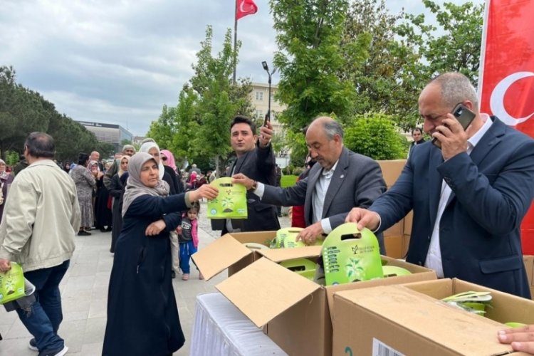 Yıldırım Belediyesi &uuml;cretsiz fide dağıttı
