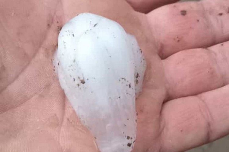 Adıyaman'a ceviz b&uuml;y&uuml;kl&uuml;ğ&uuml;nde dolu etkili oldu