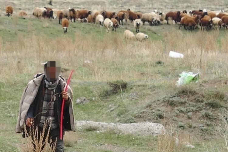 Erzurum'da 'Canlı bomba' diyerek ihbar edilen kişi &ccedil;oban &ccedil;ıktı