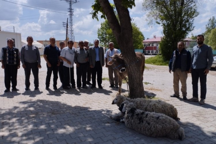 Afetlerin son bulması ve bereket i&ccedil;in kurban kestiler