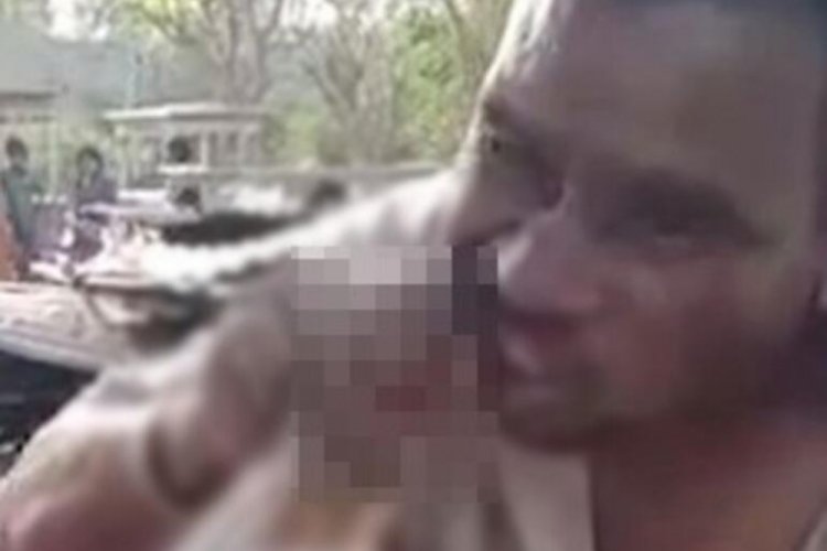 Yılanı canlı canlı yedi!