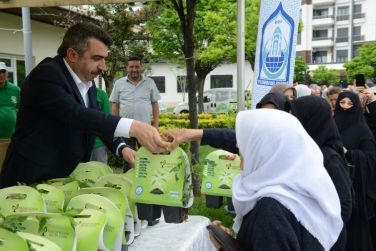 Yıldırım Belediyesi'nin &uuml;cretsiz fide dağıtımı devam ediyor