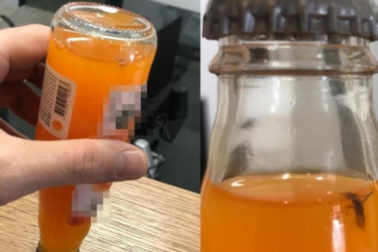 Soda şişesinin i&ccedil;inden &ccedil;ıkan sinek şoke etti!