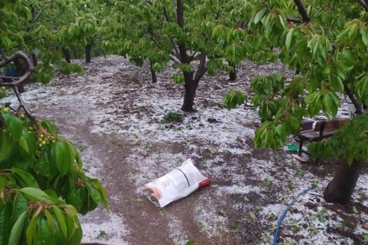 Amasya Suluova'da sağanak ve dolu 4 k&ouml;yde arazileri vurdu