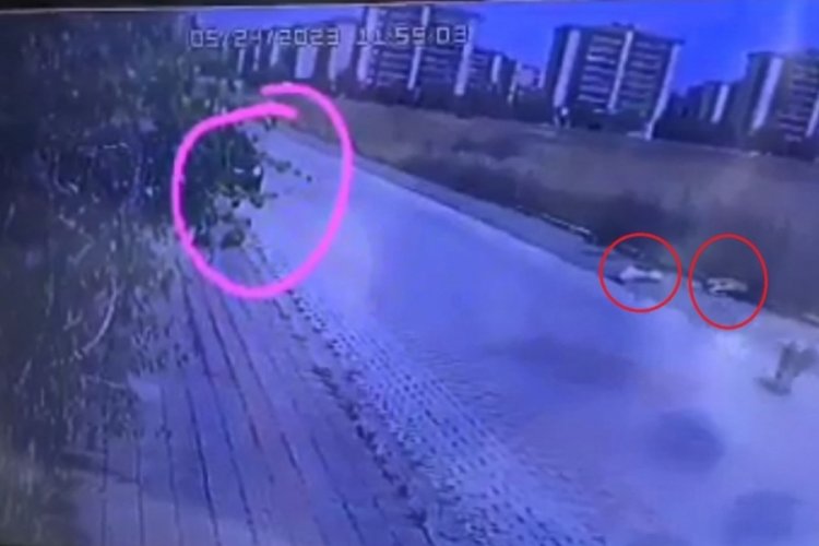 Otomobilden pompalı t&uuml;fekle ateş edip &ouml;ld&uuml;rm&uuml;şt&uuml;! Yakalandı