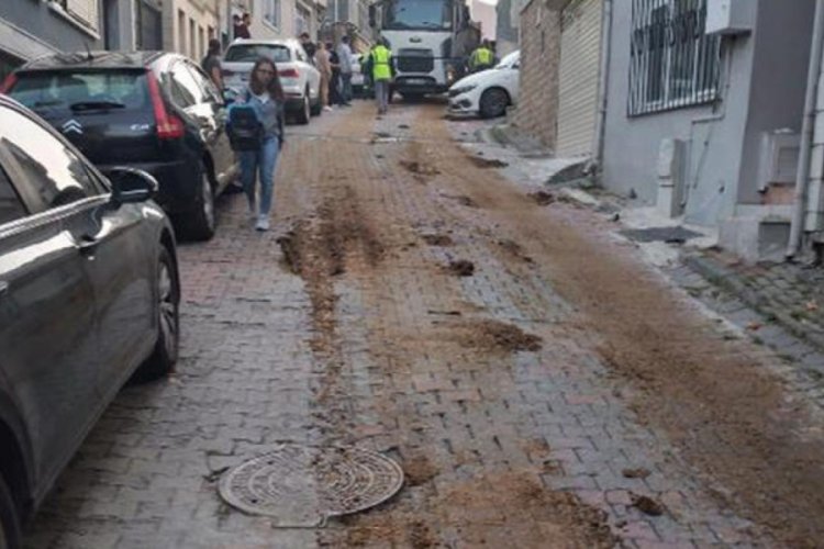 İstanbul'da kamyondan d&ouml;k&uuml;len hayvan g&uuml;bresi &ccedil;ileden &ccedil;ıkardı!