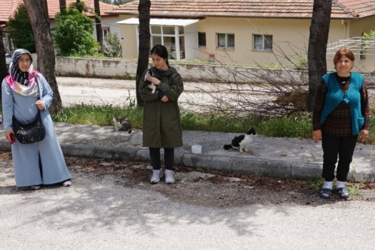 Isparta'da mahallelinin beslediği kedi, ayakları kesilmiş halde bulundu