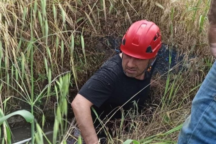 A 2-year-old child fell into the irrigation canal in Malatya!  He lost his life