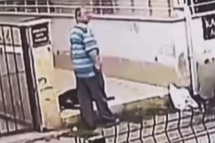 Sokak hayvanına cinsel istismarda bulundu!