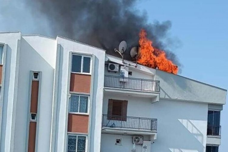 Aydın'da sigara y&uuml;z&uuml;nden yangın &ccedil;ıktı! 1 kişi dumandan etkilendi