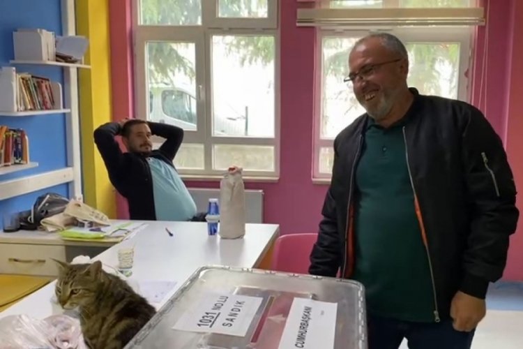 Sandık başında davetsiz misafir