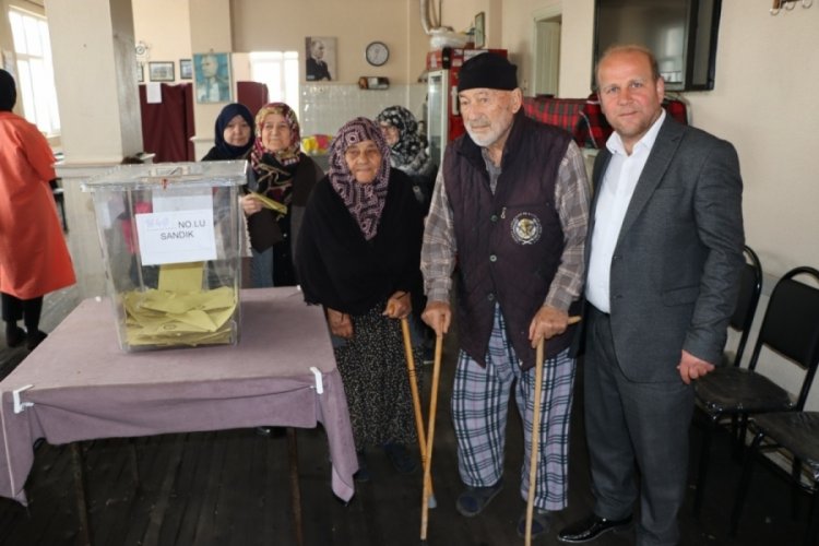 Sakarya'da asırlık &ccedil;ınarlar oy kullandı