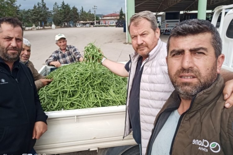 Bursa'da nazende fasulye hasadı yapıldı