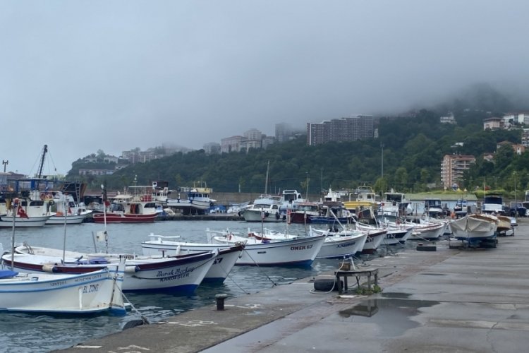 Zonguldak'ta amat&ouml;r balık&ccedil;ılar 1,5 ton balık yakaladı