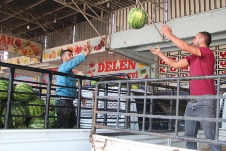 Karpuzun kilosu tarlada 5 liraya d&uuml;şt&uuml;! 4 &uuml;lkeye ihra&ccedil; edilecek