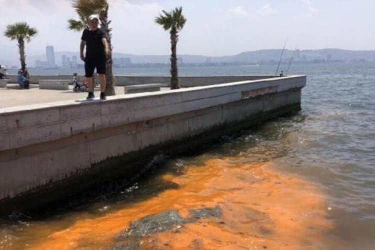 İzmir K&ouml;rfezi'nde renk değişimi uyarısı! M&uuml;silaja sebep olabilir
