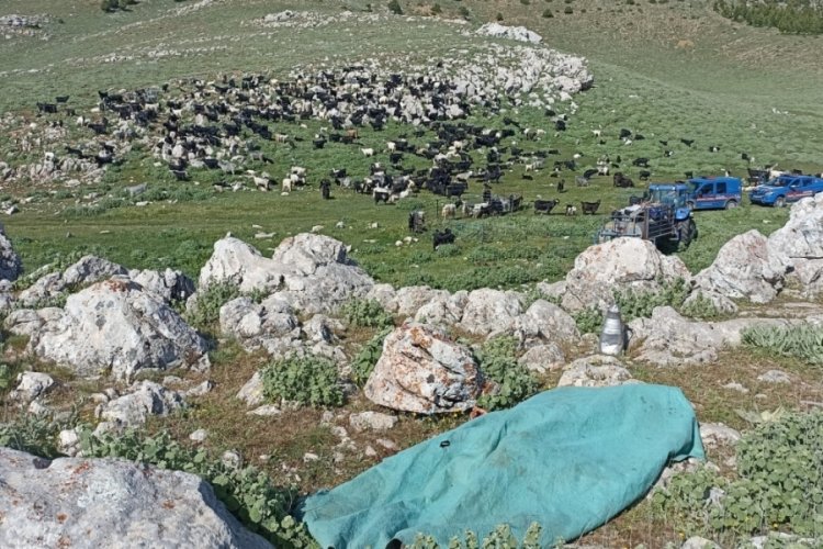 Karaman'da bir kadın eşi ve kendisini darp eden kayınbiraderine dehşeti yaşattı
