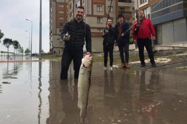 &Ccedil;orlu'da sağanak sebebiyle g&ouml;le d&ouml;nen yolda balık tuttular