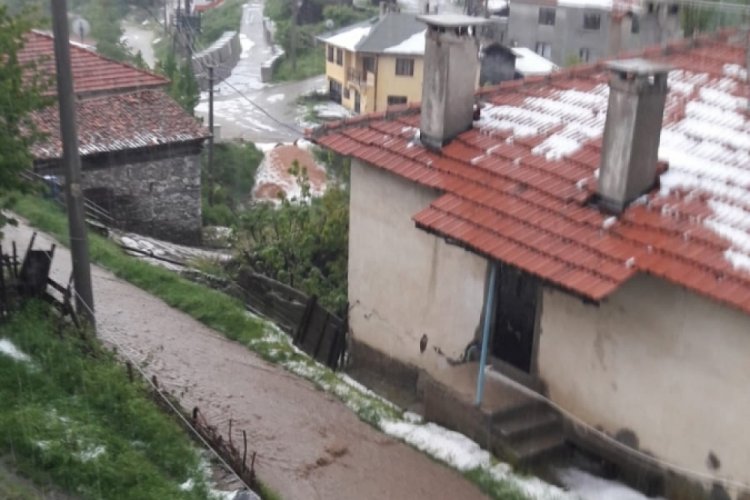 Bursa'da şiddetli dolu yağışı ürünleri vurdu!
